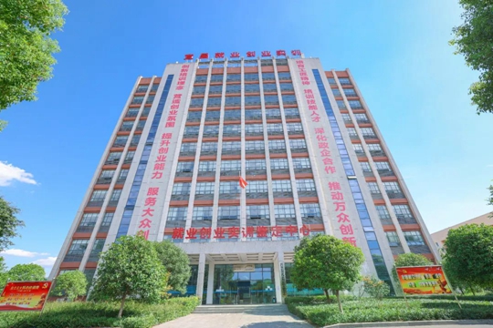 湖北省第一批“荊楚工匠學(xué)院”！宜化職業(yè)培訓(xùn)中心獲授牌(圖2)