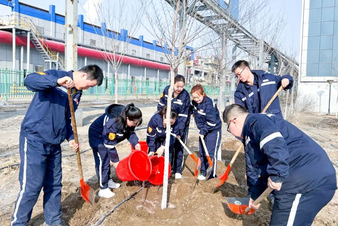 “植”此青綠共“樹(shù)”未來(lái)！集團(tuán)各公司開(kāi)展植樹(shù)活動(dòng)(圖19)